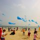 cervia_ground_04